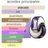 bvgari omnia amethyste eau 65ml + pulseras