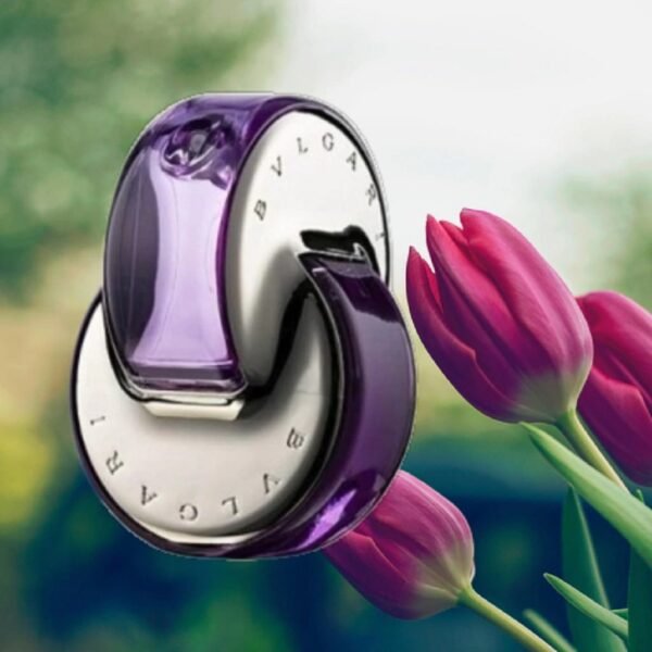 bvgari omnia amethyste eau 65ml + pulseras