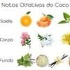 descarga-9-1.jpg perfume coco Chanel - elegancia y sofisticación 100 ml